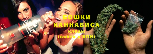 apvp Гусь-Хрустальный