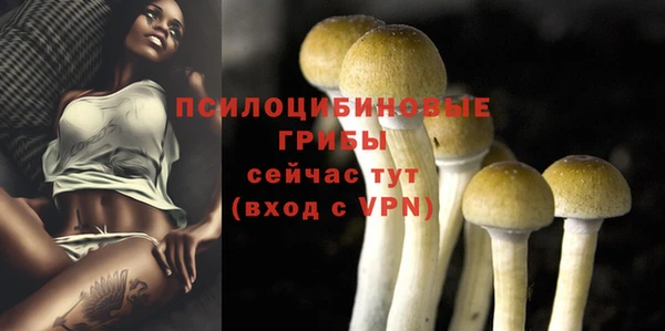 apvp Гусь-Хрустальный
