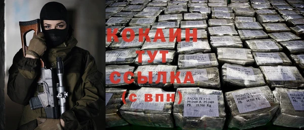 apvp Гусь-Хрустальный