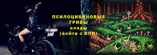 apvp Гусь-Хрустальный