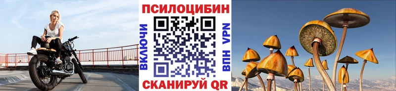 blacksprut сайт  Данилов  Галлюциногенные грибы мухоморы 